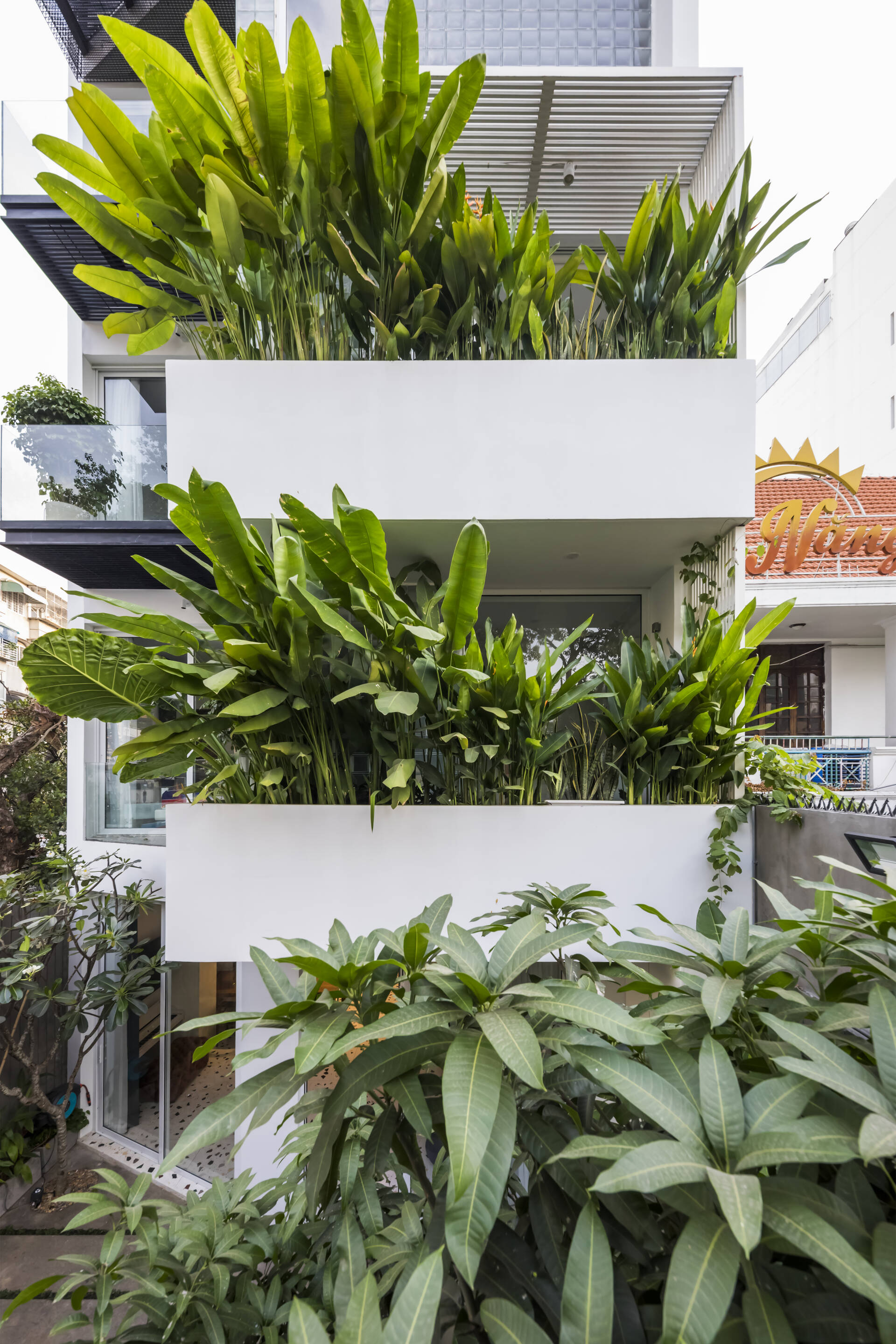 Thiết kế ngôi nhà phố 5 tầng với diện tích 7x13m ngập tràn cây xanh của cặp vợ chồng thích sáng tạo