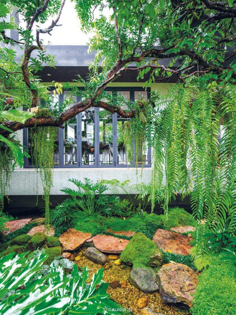 Nhà phố 200m2 sở hữu vườn cây hệt như một khu rừng nhiệt đới, có đa dạng loại cây, cả ao cá và thác suối 