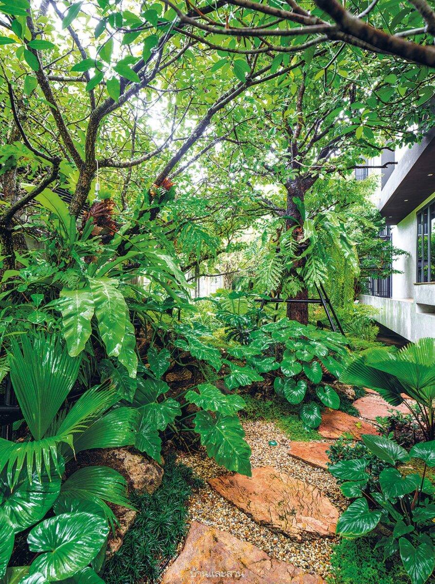 Nhà phố 200m2 sở hữu vườn cây hệt như một khu rừng nhiệt đới, có đa dạng loại cây, cả ao cá và thác suối 