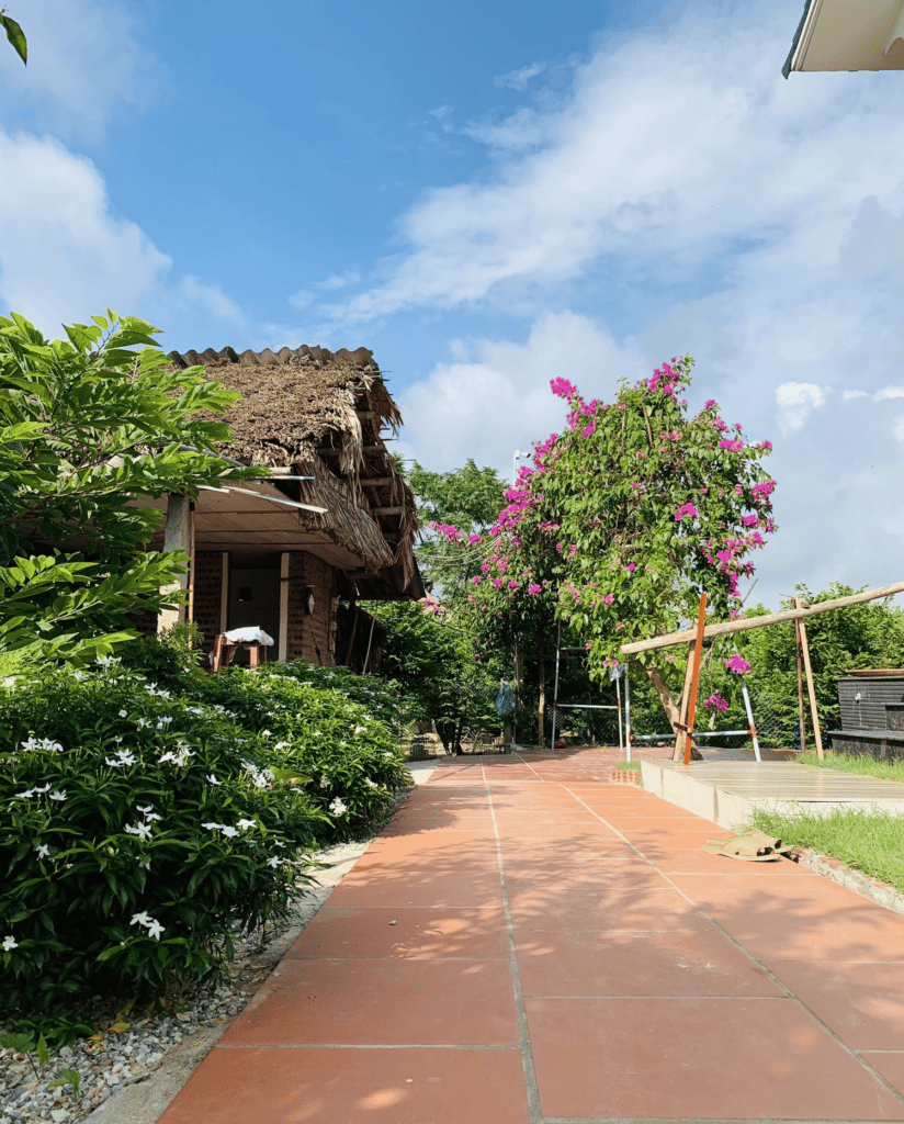 Con trai xây ngôi nhà vườn tuyệt đẹp bên đồng lúa xanh mát tặng bố mẹ an hưởng tuổi già ở Vĩnh Phúc
