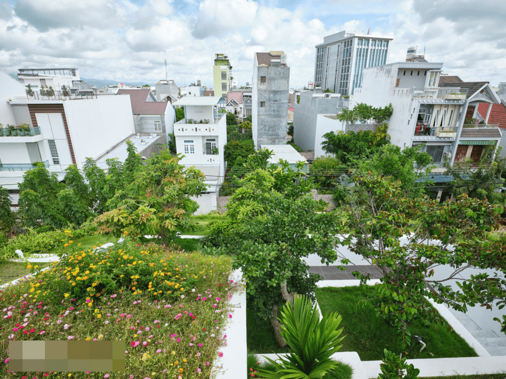 Ngôi nhà 2 tầng sở hữu khu vườn “trên mây” siêu độc lạ cùng không gian sống mê hoặc ở Phan Thiết